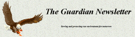 The Guardian Newsletter screenshot