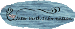 Waterbirth Website screenshot